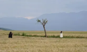 網(wǎng)紅孤獨(dú)樹被砍：別讓流量狂歡踐踏農(nóng)人煙火